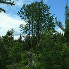 Kniebis 2009 Bild 11